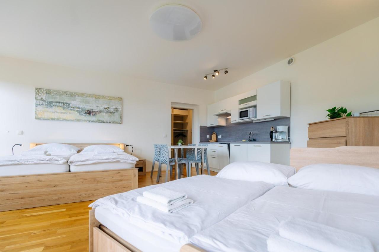 Horsky Apartman Temari 12 Klinovec Loučná pod Klínovcem Exterior foto